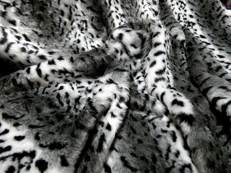 hermelijn zwart wit hermelijn zwart wit