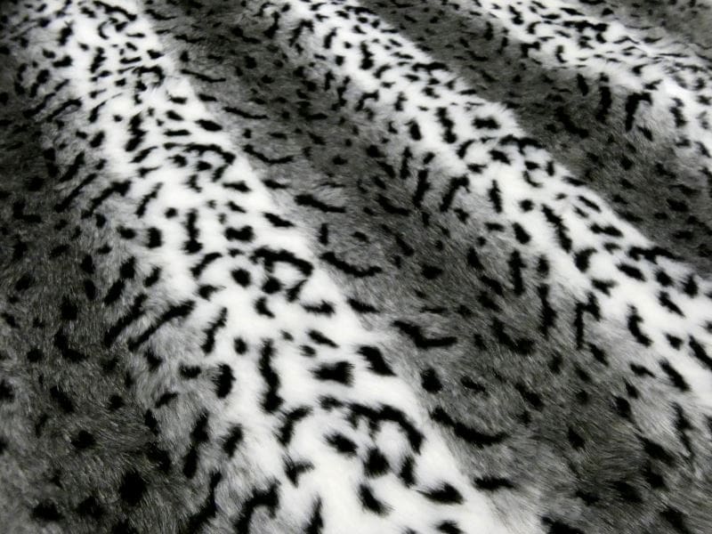 hermelijn zwart wit hermelijn zwart wit